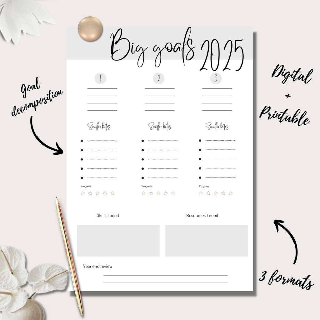 Big Goals 2025 Planner Insert Single Page Digital Planning