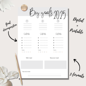 Big Goals 2025 Planner Insert | Single Page | Digital Planning & Printable