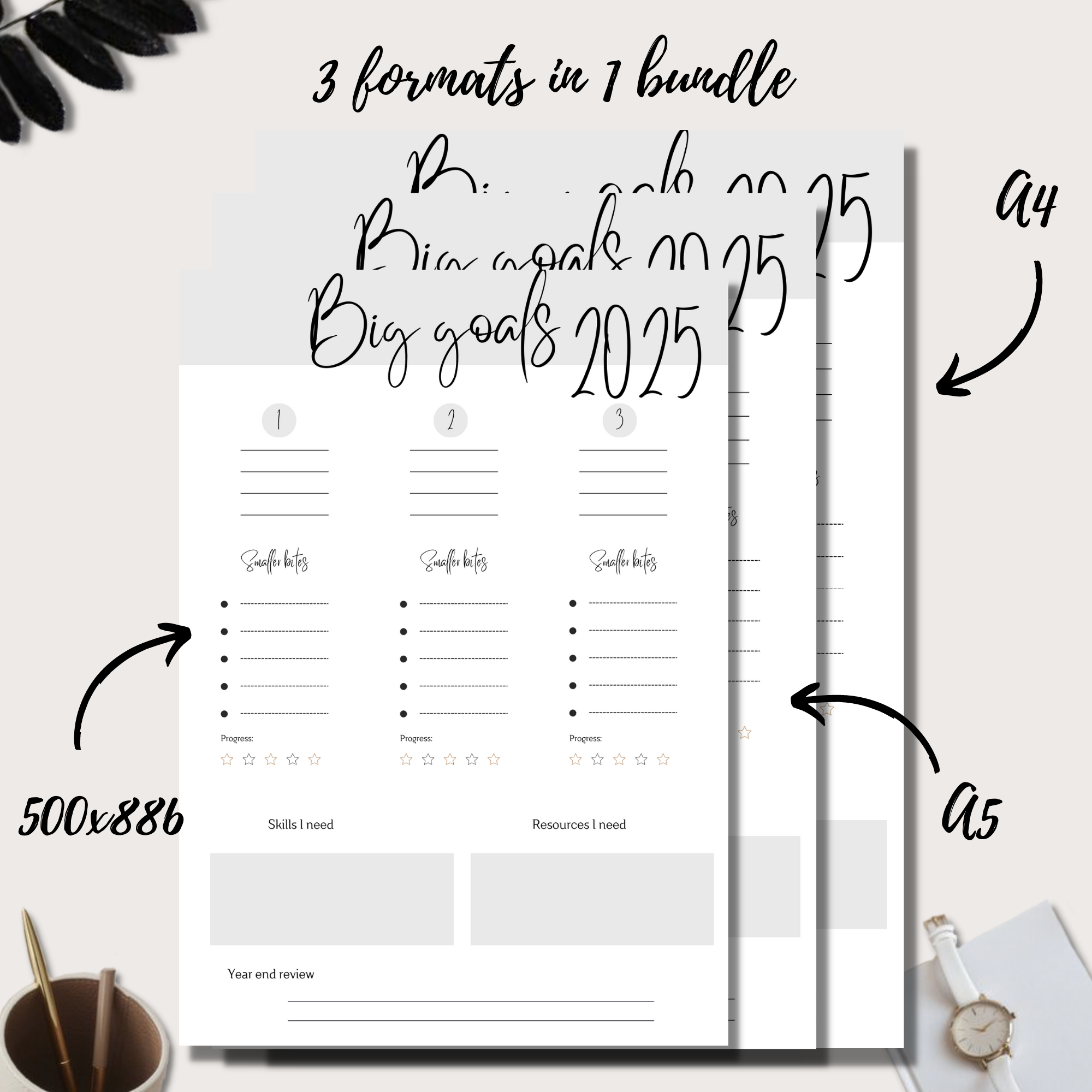 Big Goals 2025 Planner Insert Single Page Digital Planning