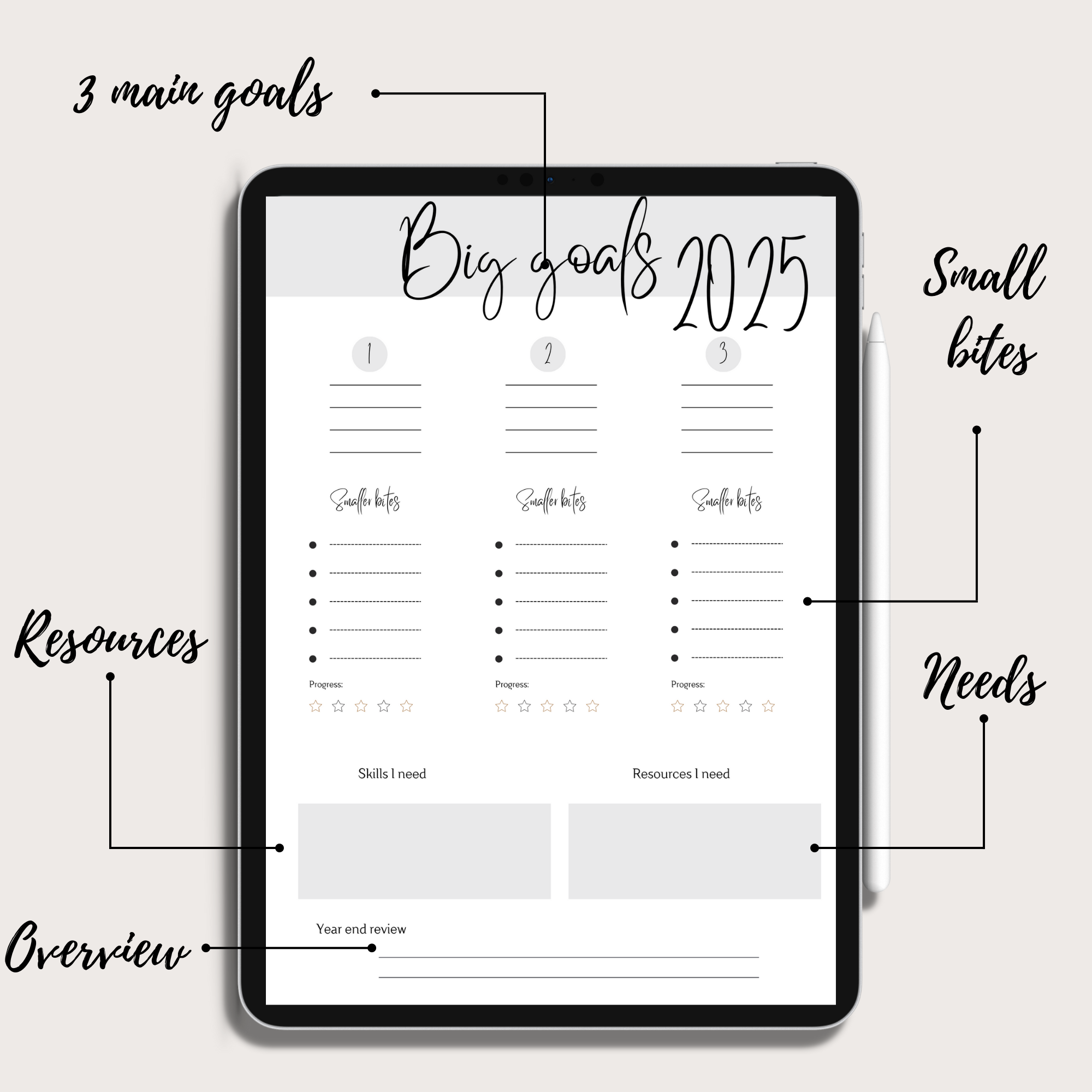 Big Goals 2025 Planner Insert Single Page Digital Planning