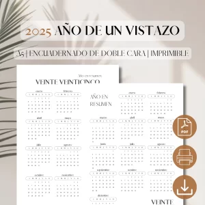 Tableros del Año 2025 a la Vista | Inserto de Planificador PDF Imprimible | Calendario Imprimible 2025 | Resumen del Año | Año a la Vista | A5